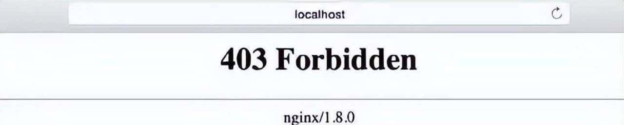 Nginx配置完整手册:从入门到高可用部署