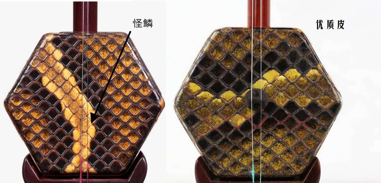 人人可做二胡,只几个工具就能搞定,有好木头的自己动手