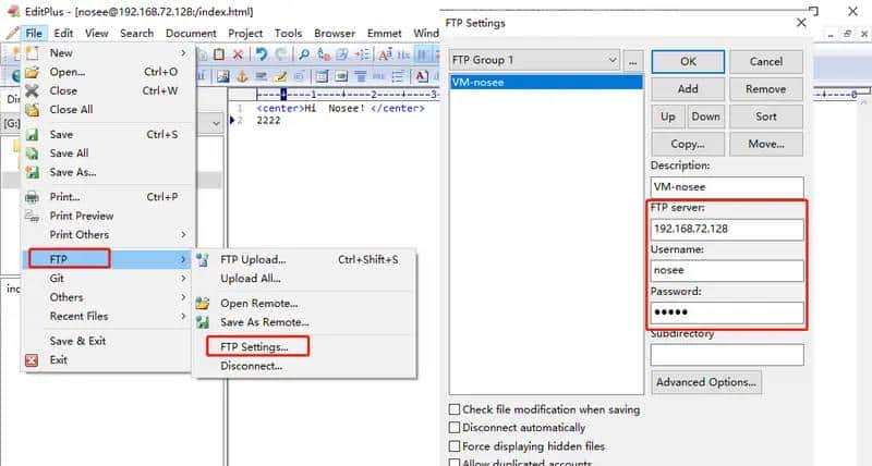 Editplus 2）Internet 功能：Web、FTP、Git