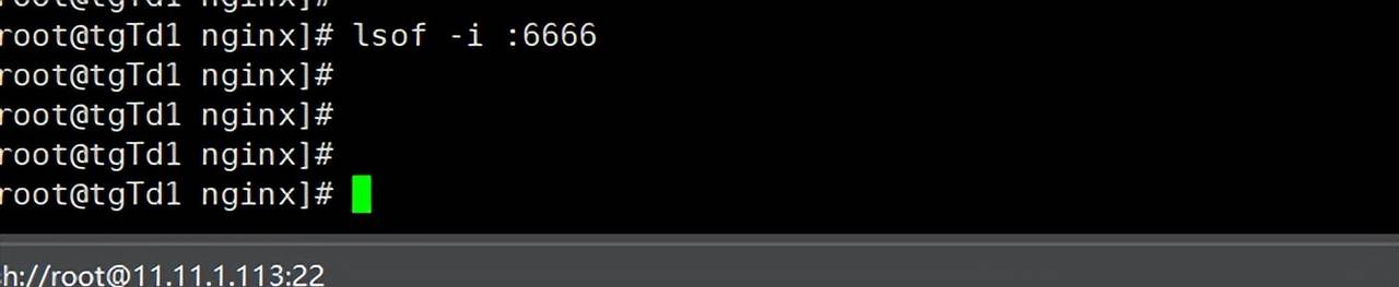 linux关闭占用特定端口的进程
