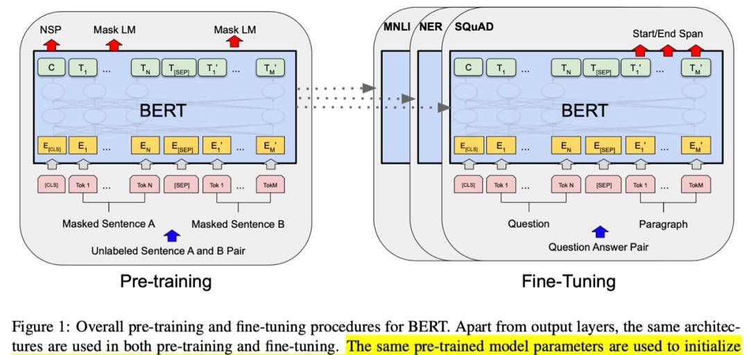 BERT庖丁解牛 - 鹿快