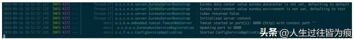 Apollo配置中心零基础入门到实战