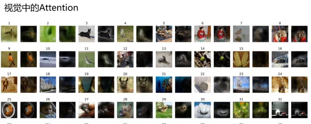 Transformer 在图像中的运用(一)VIT(Transformers for Image Recognition at Scale)论文及代码解读 - 鹿快