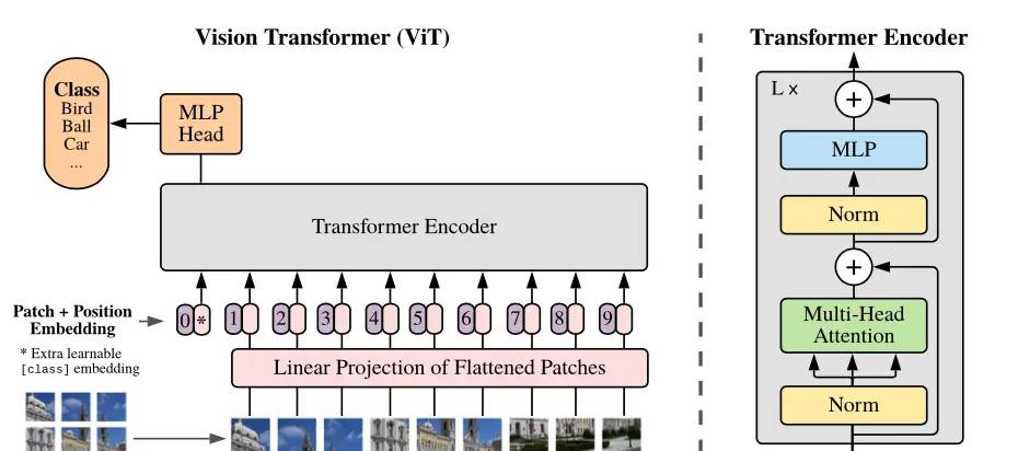 Transformer 在图像中的运用（一）VIT(Transformers for Image Recognition at Scale）论文及代码解读