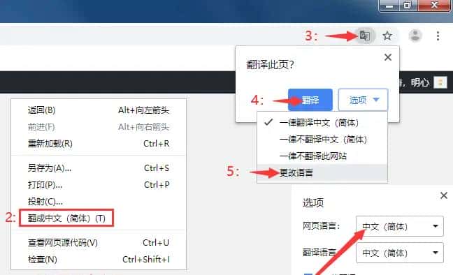 网站翻译插件，一键整页翻译，轻松浏览英文网站，支持所有外文翻译