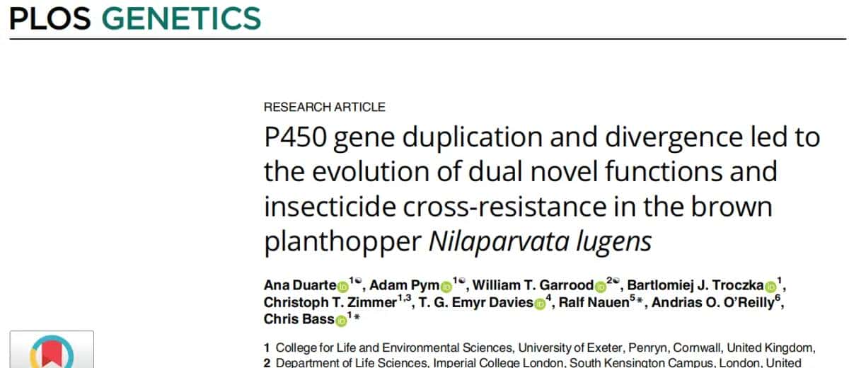 文献分享2-CYP6ER1变体介导褐飞虱对新烟碱类杀虫剂的抗性 - 鹿快