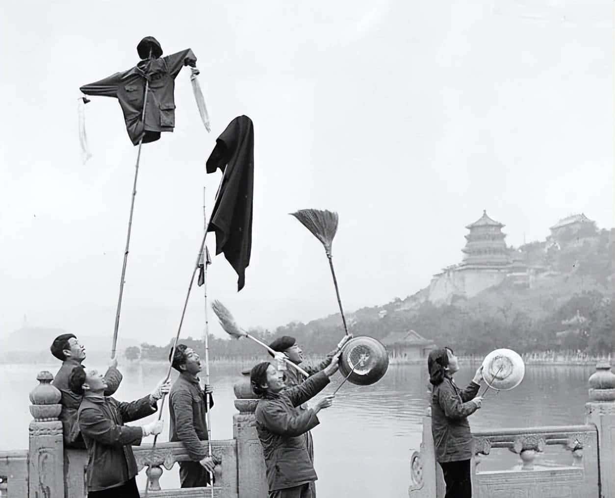 新中国的“除四害”运动（赵胜）