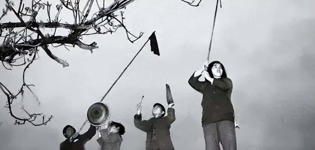 新中国的“除四害”运动（赵胜） - 鹿快