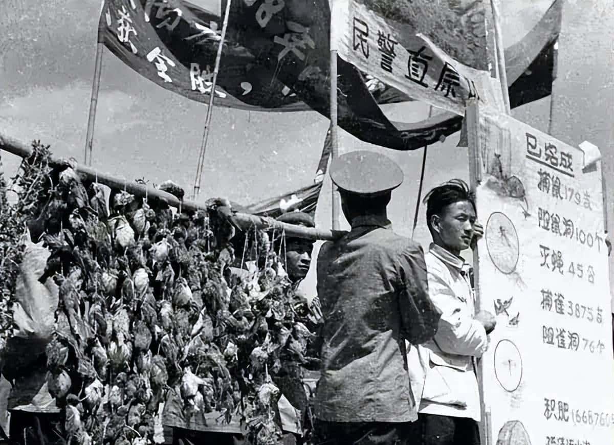 新中国的“除四害”运动（赵胜）
