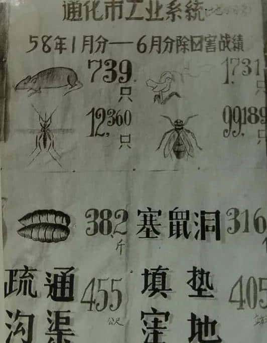 新中国的“除四害”运动（赵胜）