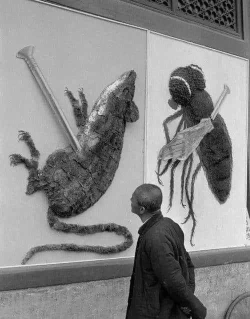 新中国的“除四害”运动（赵胜）