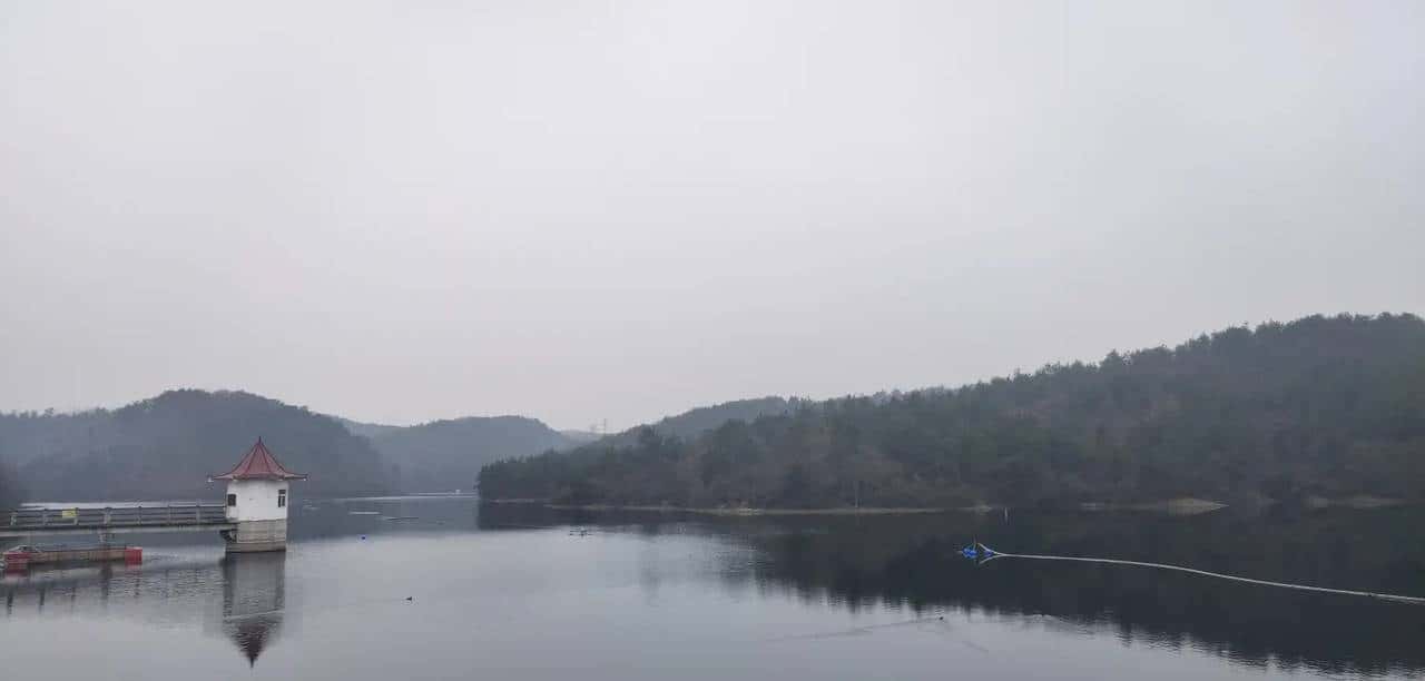 到山中去挖火棘树 - 鹿快