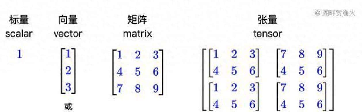 什么是张量?这是AI的“灵魂骨架”,比向量和矩阵更高级 - 鹿快