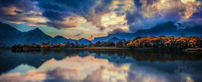 森林覆盖率高达91.1%”神农架“进退”之间让绿水青山“焕”新颜