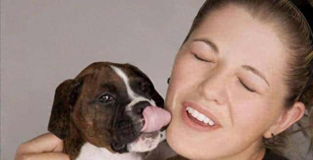 狗狗“舔人”很脏？原来它舔你，是想告诉你这几件事 - 鹿快