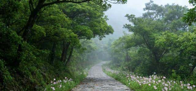 还没发光时,先把自己养“厚”!