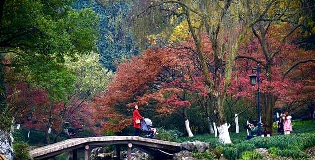 女生暗示你付费，身后藏着三个信号，男孩如果不懂很容易受伤