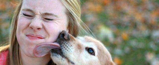 狗狗“舔人”很脏？原来它舔你，是想告知你这几件事