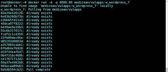 记一次“利用远程代码执行漏洞”实战提权过程 - 鹿快