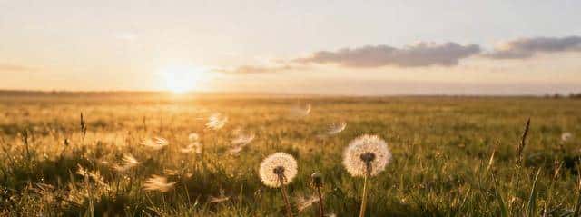 还没发光时,先把自己养“厚”!