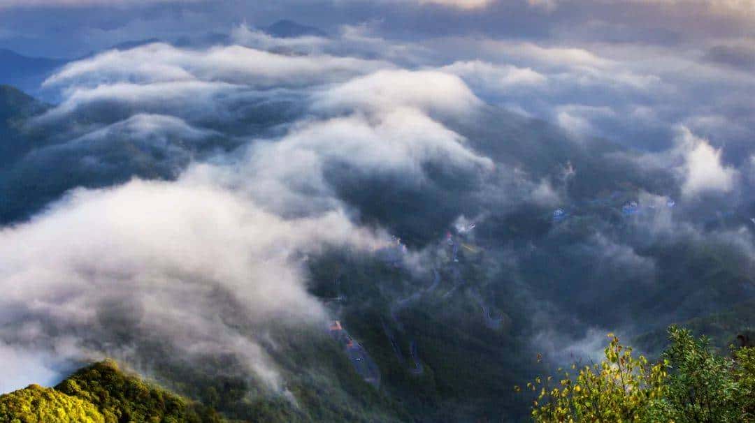 首次进入全国前十！重庆森林覆盖率达54.5% - 鹿快