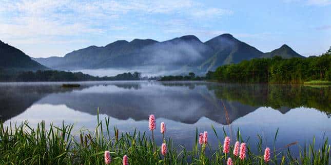 森林覆盖率高达91.1%”神农架“进退”之间让绿水青山“焕”新颜