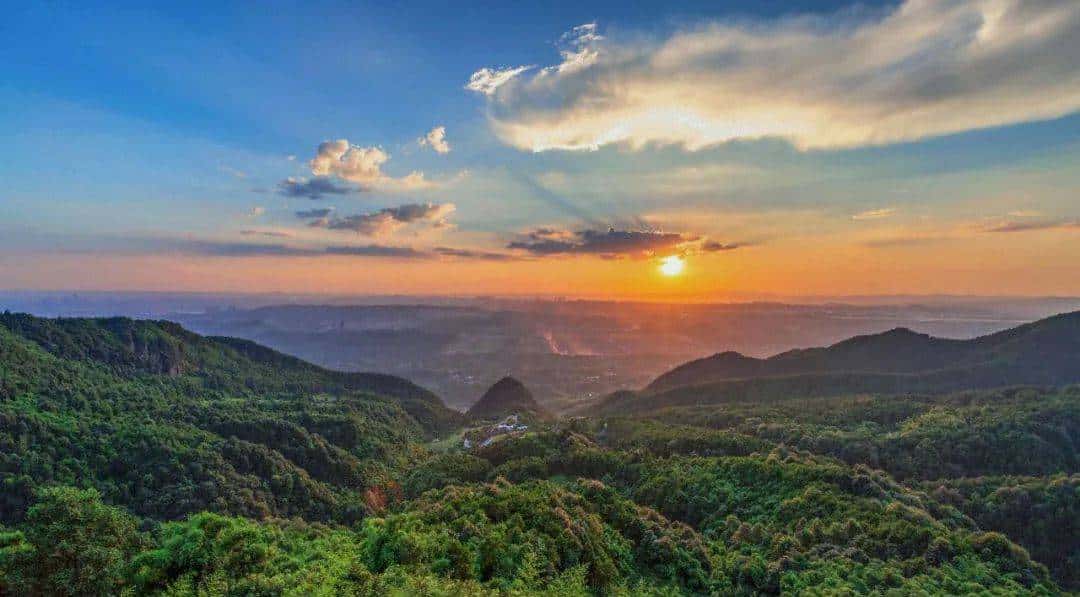 首次进入全国前十！重庆森林覆盖率达54.5%