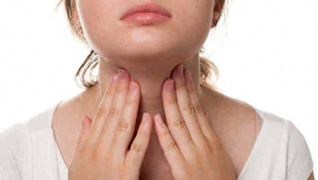 cloth sloth - 鹿快