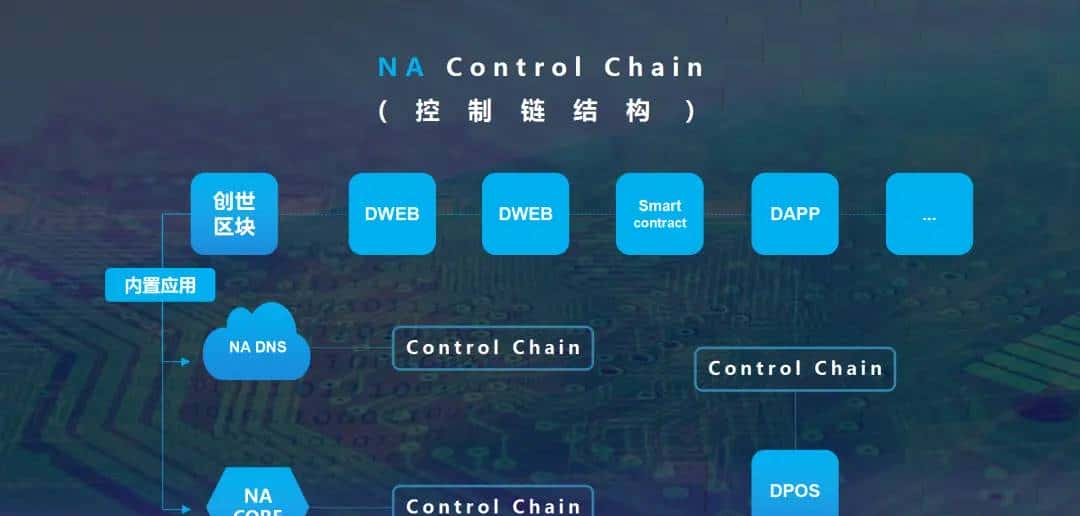 解析：全面了解NAC钠公链的技术亮点