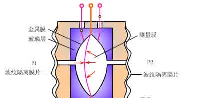 科学原理动图之电容工作原理