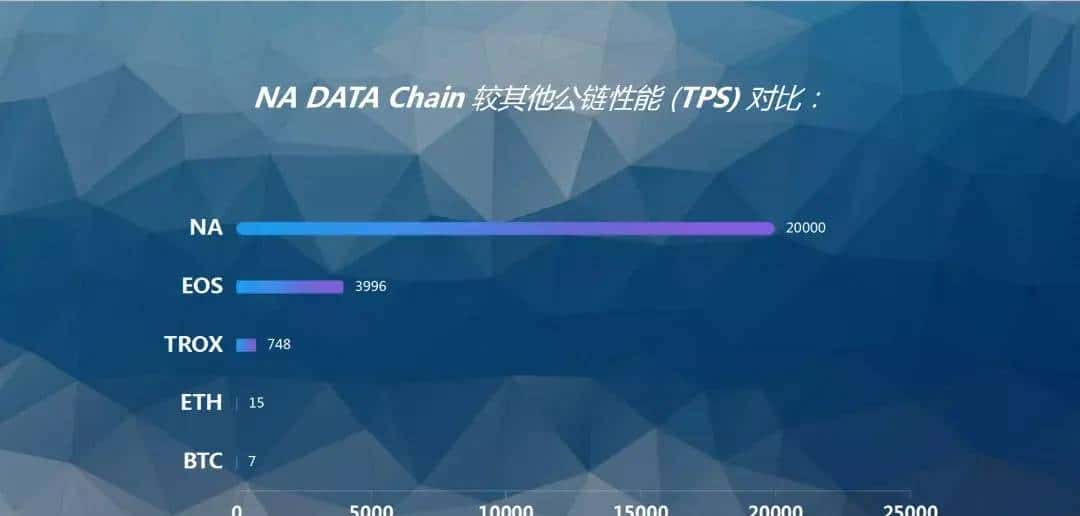 解析：全面了解NAC钠公链的技术亮点