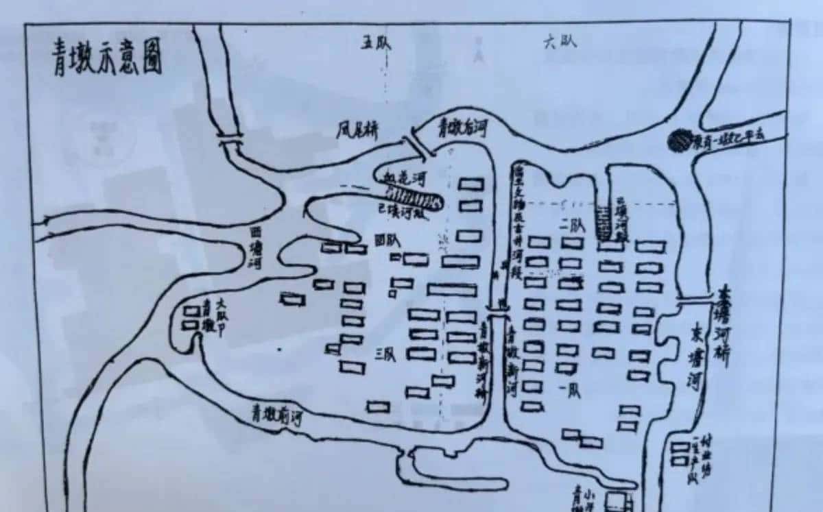 这届原始人太硬核！江苏农民一锹挖断六千年封印！电视未播的考古现场曝光