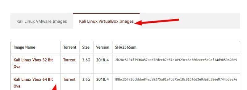 在 VirtualBox 上安装 Kali Linux：最快速和最安全的方法