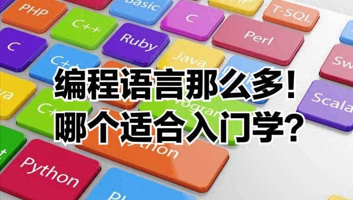 不同编程语言有哪些差异？如何选择入门语言？ - 鹿快
