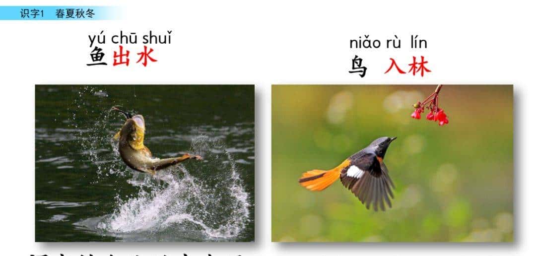部编版一年级下册语文《春夏秋冬》知识点+图文讲解，给孩子预习
