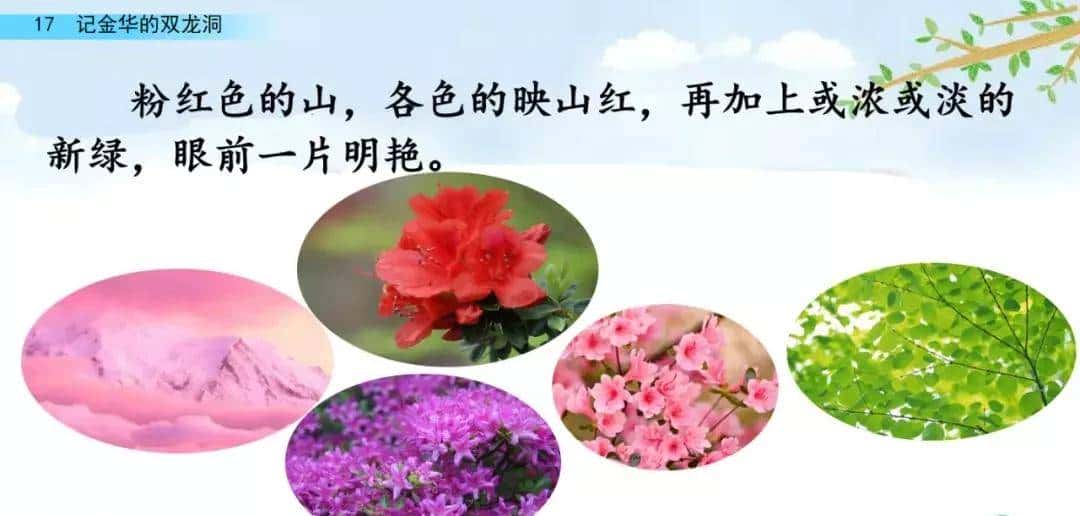 四年级下册语文第17课《记金华的双龙洞》图文详解及同步练习