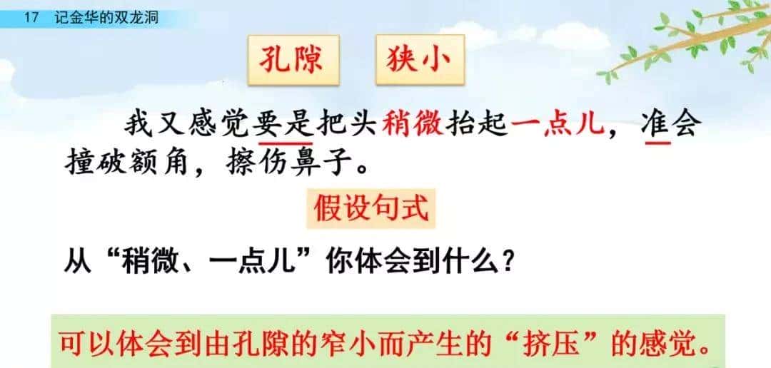 四年级下册语文第17课《记金华的双龙洞》图文详解及同步练习