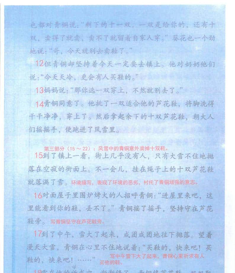 小学四年级下语文20课《芦花鞋》课堂笔记、练习题及阅读题
