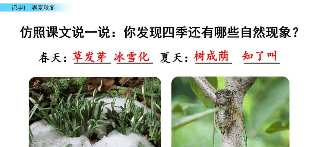 部编版一年级下册语文《春夏秋冬》知识点+图文讲解，给孩子预习
