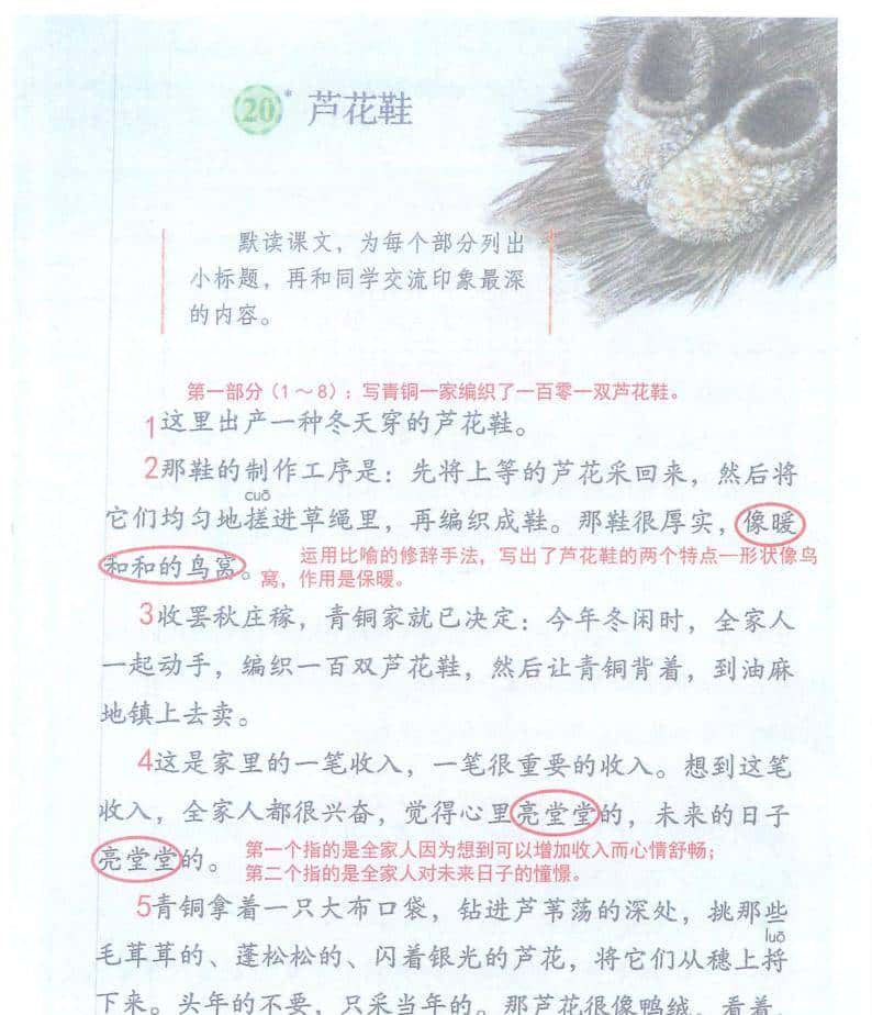 小学四年级下语文20课《芦花鞋》课堂笔记、练习题及阅读题