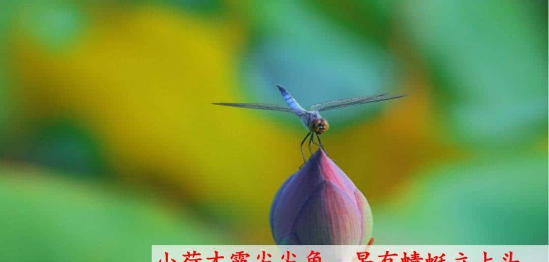 部编版一年级下册语文《春夏秋冬》知识点+图文讲解，给孩子预习