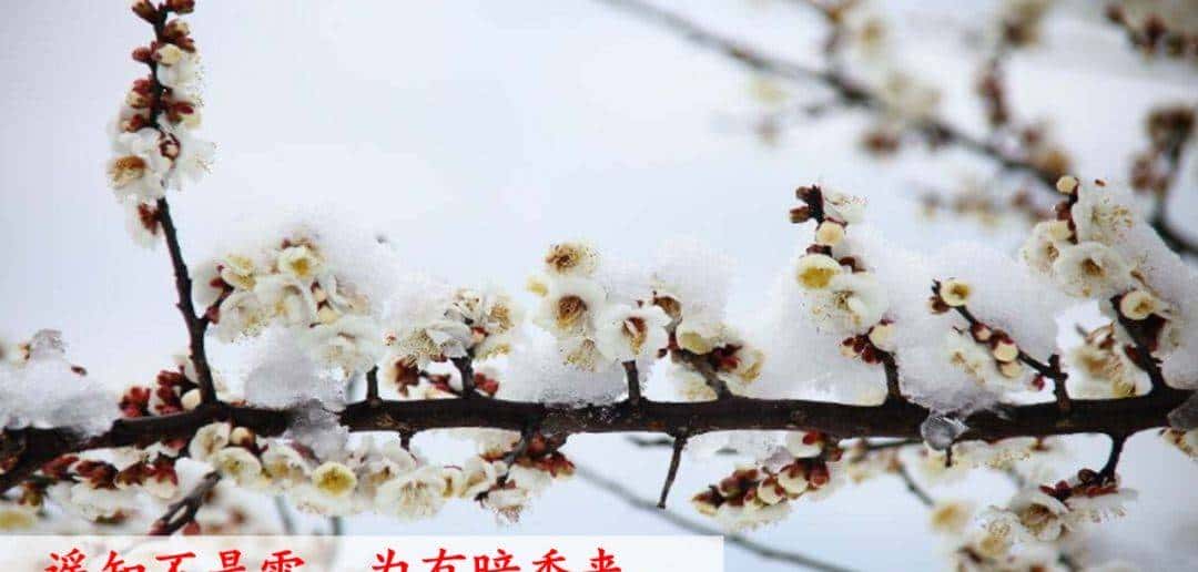 部编版一年级下册语文《春夏秋冬》知识点+图文讲解，给孩子预习