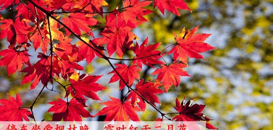 部编版一年级下册语文《春夏秋冬》知识点+图文讲解，给孩子预习