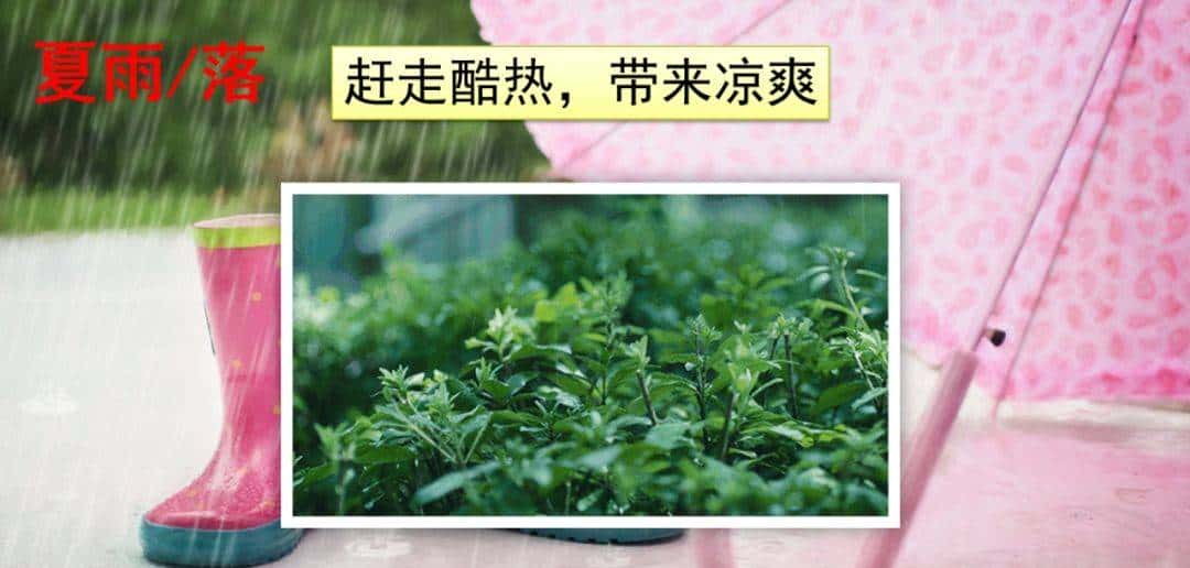 部编版一年级下册语文《春夏秋冬》知识点+图文讲解，给孩子预习