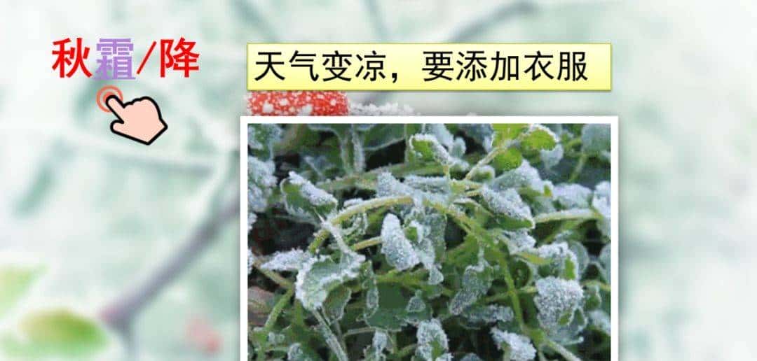 部编版一年级下册语文《春夏秋冬》知识点+图文讲解，给孩子预习