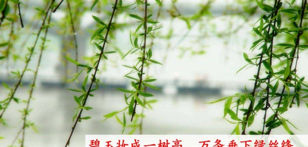 部编版一年级下册语文《春夏秋冬》知识点+图文讲解，给孩子预习