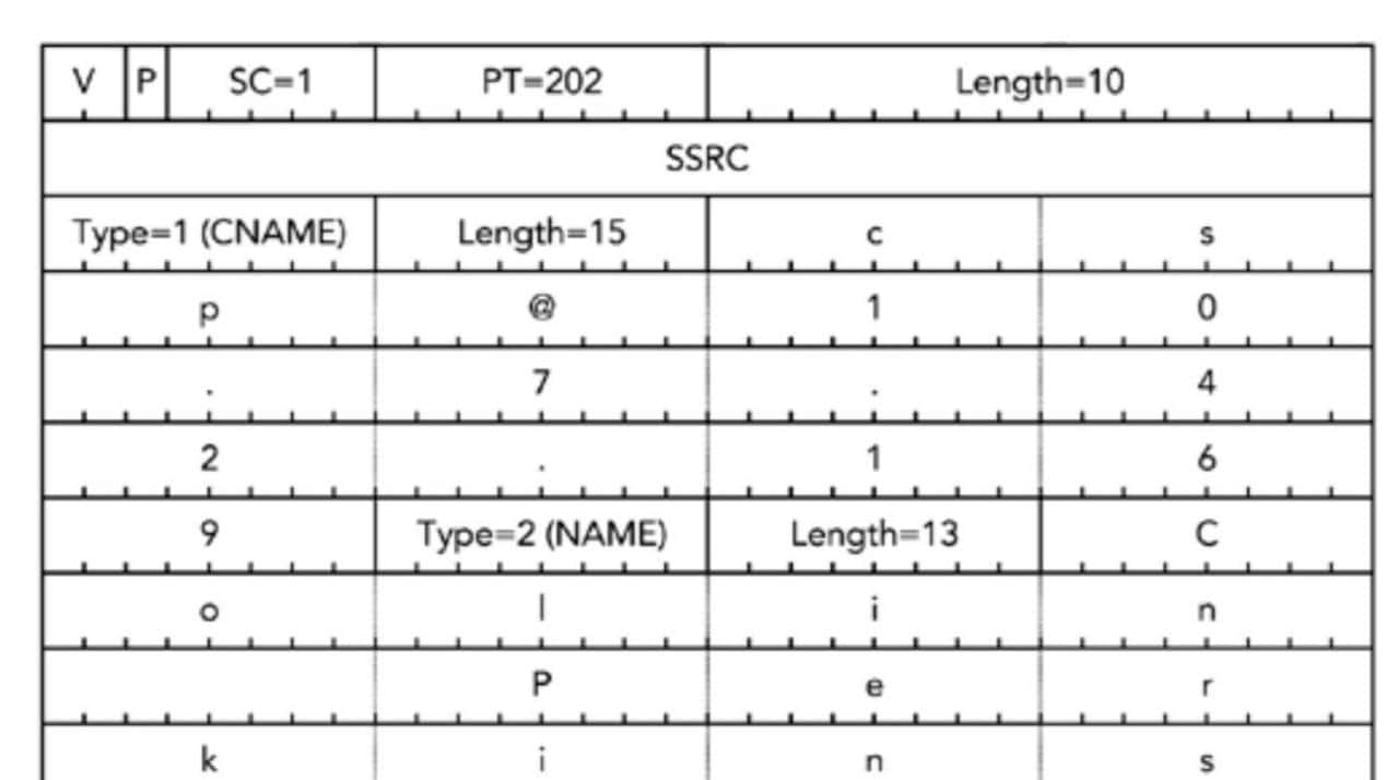 RTCP协议详解(SR、RR、SDES、BYE、APP、NACK、TCC、PLI、SLI)