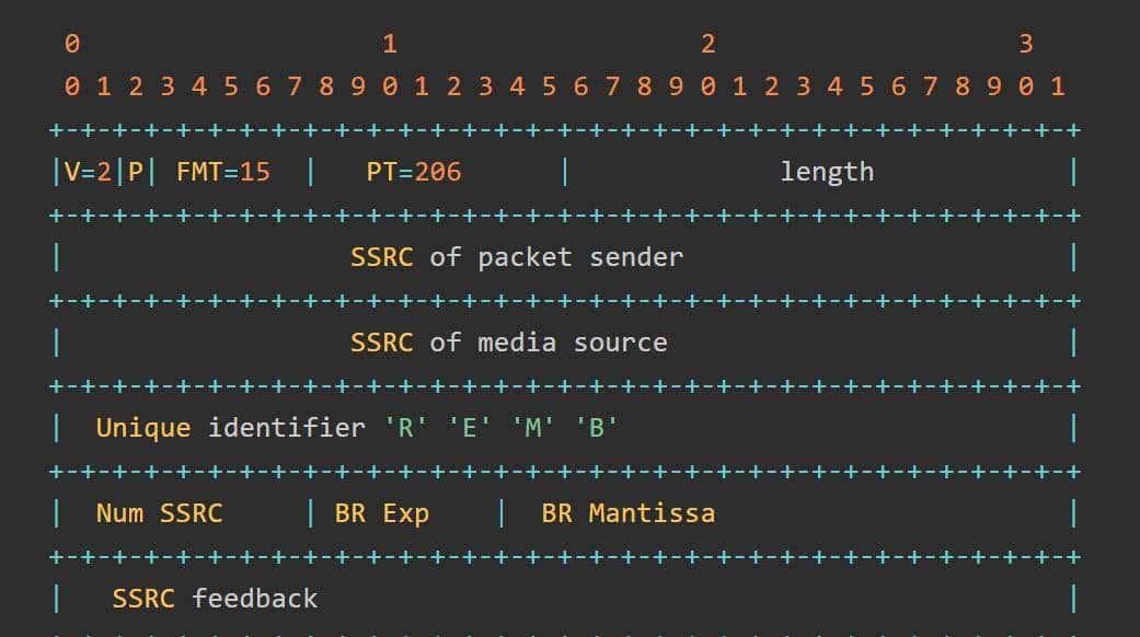 RTCP协议详解(SR、RR、SDES、BYE、APP、NACK、TCC、PLI、SLI)