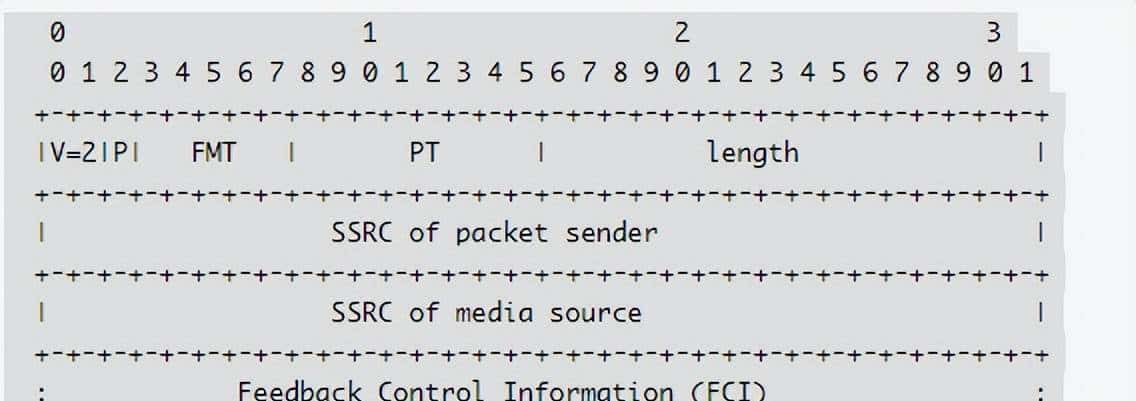 RTCP协议详解(SR、RR、SDES、BYE、APP、NACK、TCC、PLI、SLI)