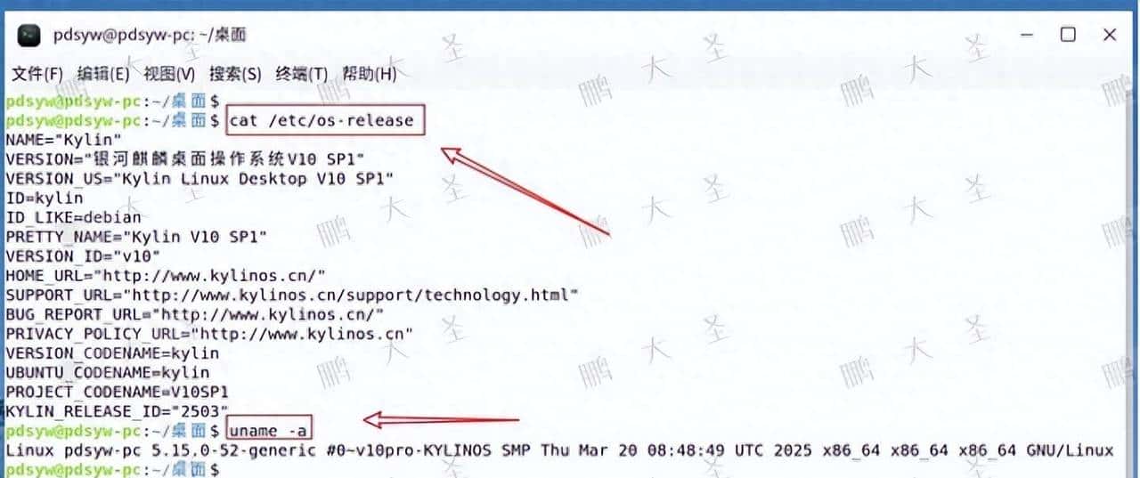 不重装也能扩容：麒麟Kylin V10系统盘增容（非LVM） - 鹿快